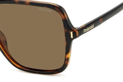 Sunčane naočale Polaroid PLD6219/S 086/SP Polarized Kvadratni Havana