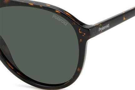 Sunčane naočale Polaroid PLD4162/S 086/UC Polarized Pilotski Havana