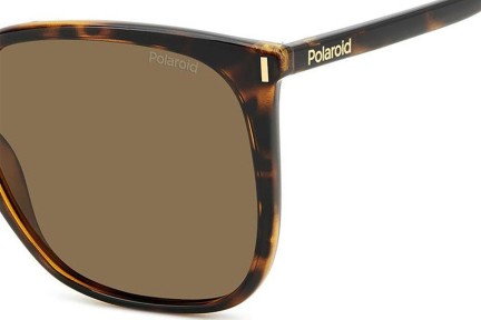 Sunčane naočale Polaroid PLD6218/S 086/SP Polarized Kvadratni Havana