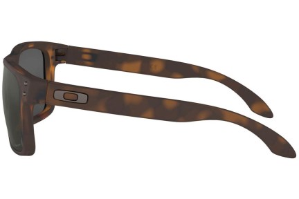 Sunčane naočale Oakley Holbrook OO9102-F4 PRIZM Kvadratni Havana