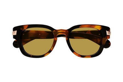 Sunčane naočale Gucci GG1518S 003 Okrugao Havana