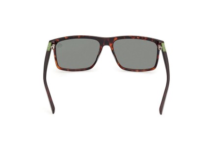 Sunčane naočale Timberland TB00008 52R Polarized Kvadratni Havana