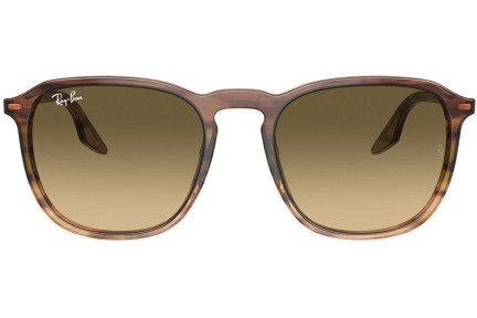 Sunčane naočale Ray-Ban RB2203 13920A Kvadratni Smeđi