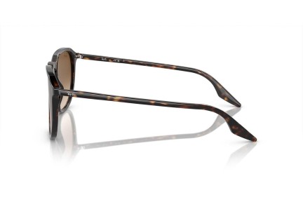 Sunčane naočale Ray-Ban RB2203 902/51 Kvadratni Havana