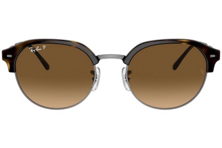 Sunčane naočale Ray-Ban RB4429 710/M2 Polarized Ovalni Havana