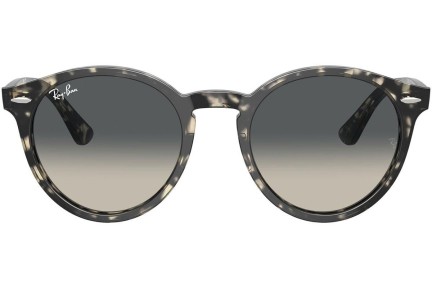 Sunčane naočale Ray-Ban Larry RB7680S 133371 Okrugao Sivi