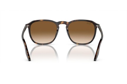 Sunčane naočale Ray-Ban RB2203 902/51 Kvadratni Havana