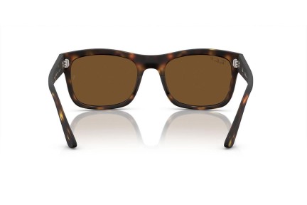 Sunčane naočale Ray-Ban RB4428 894/57 Polarized Kvadratni Havana