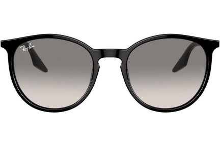 Sunčane naočale Ray-Ban RB2204 901/32 Okrugao Crni