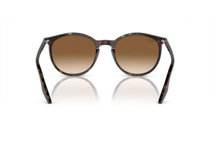 Sunčane naočale Ray-Ban RB2204 902/51 Okrugao Havana