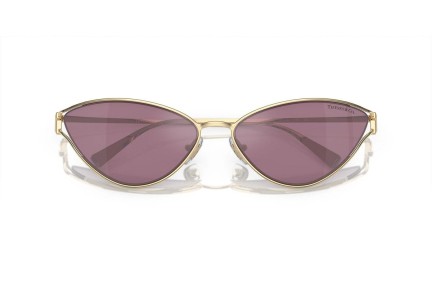 Sunčane naočale Tiffany & Co. TF3095 6194AK Cat Eye Zlatni