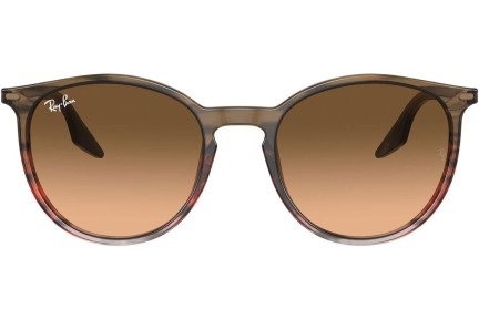 Sunčane naočale Ray-Ban RB2204 13953B Okrugao Smeđi