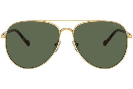 Sunčane naočale Vogue Eyewear VO4290S 280/9A Polarized Pilotski Zlatni