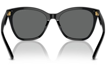 Sunčane naočale Emporio Armani EA4222U 501787 Cat Eye Crni