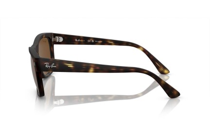 Sunčane naočale Ray-Ban RB4428 894/57 Polarized Kvadratni Havana