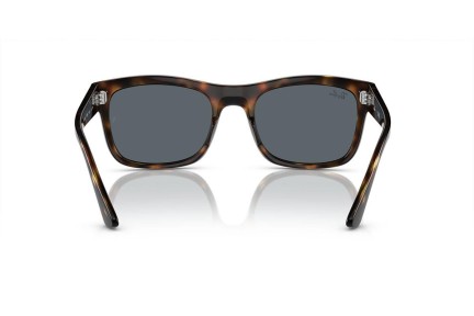 Sunčane naočale Ray-Ban RB4428 710/R5 Kvadratni Havana