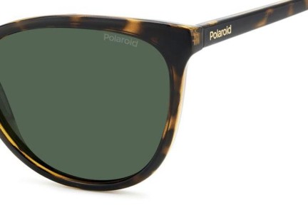 Sunčane naočale Polaroid PLD4179/S 086/UC Polarized Cat Eye Havana