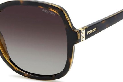 Sunčane naočale Polaroid PLD4177/S/X 086/LA Polarized Kvadratni Havana