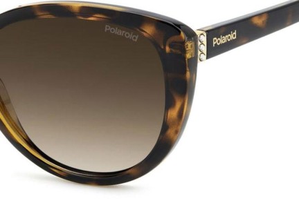 Sunčane naočale Polaroid PLD4176/S/X 086/LA Polarized Cat Eye Havana