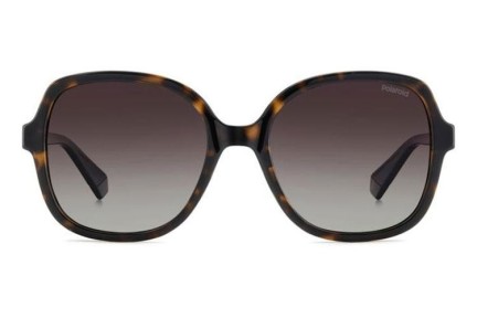 Sunčane naočale Polaroid PLD4177/S/X 086/LA Polarized Kvadratni Havana