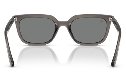 Sunčane naočale Ray-Ban RB4439D 667587 Kvadratni Sivi