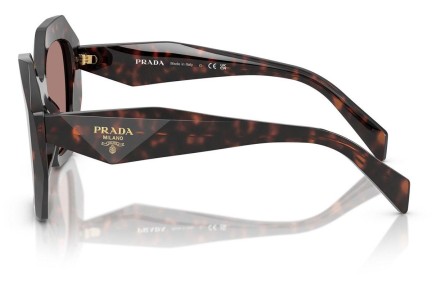 Sunčane naočale Prada PR16WS 17N60B Posebni Havana