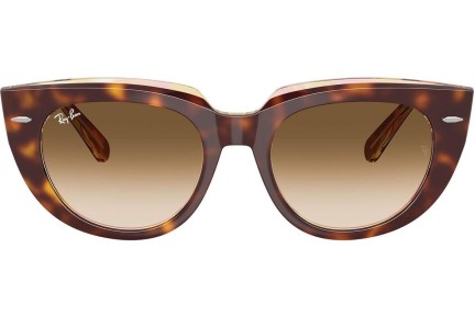 Sunčane naočale Ray-Ban RB2286 141451 Kvadratni Havana