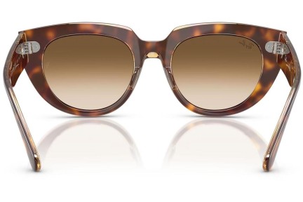 Sunčane naočale Ray-Ban RB2286 141451 Kvadratni Havana