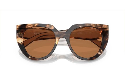 Sunčane naočale Prada PR14WS 01R2Z1 Cat Eye Havana