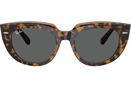 Sunčane naočale Ray-Ban RB2286 1292B1 Kvadratni Havana