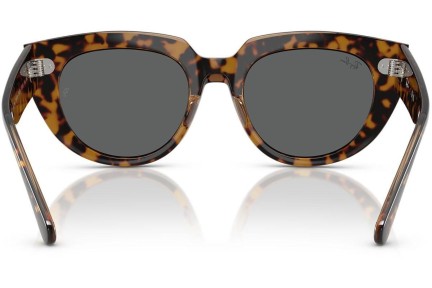 Sunčane naočale Ray-Ban RB2286 1292B1 Kvadratni Havana