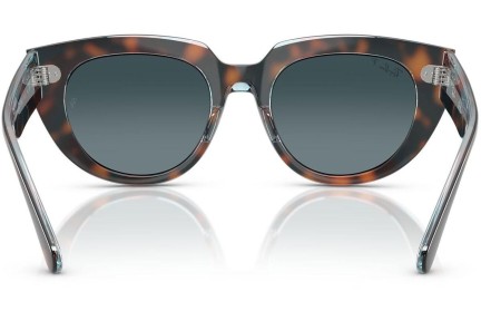 Sunčane naočale Ray-Ban RB2286 1413S3 Polarized Kvadratni Havana