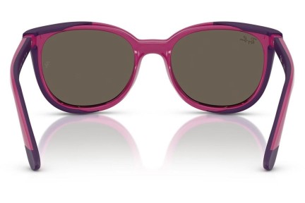 Naočale Ray-Ban Junior RY1631C 3933/3 Okrugao Ljubičasti