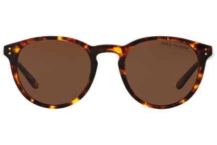 Polo Ralph Lauren PH4110 513483 Polarized