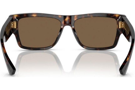 Sunčane naočale Dolce & Gabbana DG4451 502/73 Pravokutan Havana