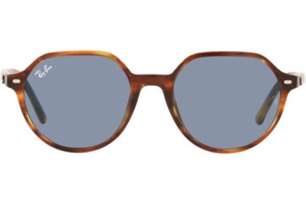 Sunčane naočale Ray-Ban Thalia RB2195 954/62 Okrugao Havana