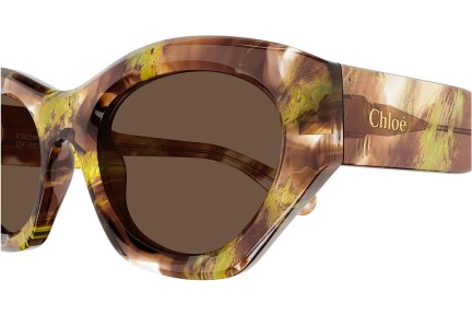 Sunčane naočale Chloe CH0220S 010 Cat Eye Havana