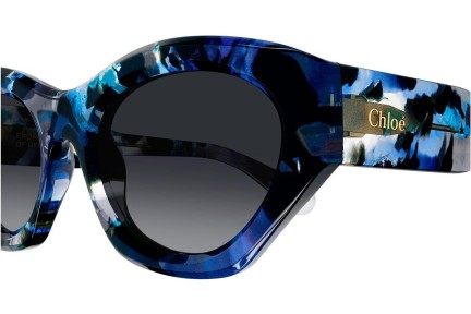 Sunčane naočale Chloe CH0220S 009 Cat Eye Plavi