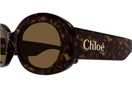 Sunčane naočale Chloe CH0258S 002 Ovalni Havana