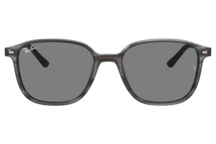 Sunčane naočale Ray-Ban Leonard RB2193 1314B1 Kvadratni Sivi