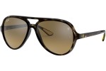 Sunčane naočale Ray-Ban RB4125M F6093K Pilotski Havana