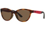 Sunčane naočale Emporio Armani EK4003 502673 Cat Eye Havana