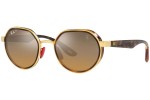 Sunčane naočale Ray-Ban RB3703M F076A2 Polarized Posebni Havana