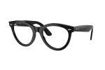 Ray-Ban RX2241V 2000