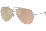 Sunčane naočale Ray-Ban Aviator Reverse RBR0101S 003/2O Pilotski Srebrni