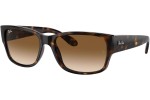 Sunčane naočale Ray-Ban RB4388 710/51 Pravokutan Havana