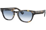 Sunčane naočale Ray-Ban Laramie RB2201 13323F Kvadratni Havana